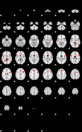 Patients 29178 86