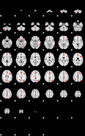 Patients 29179 196