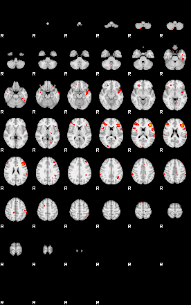 Patients 29203 49