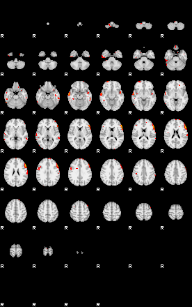 Patients 29210 77