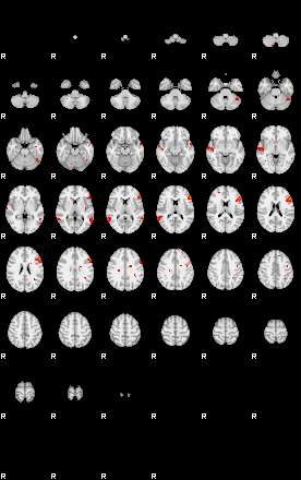 Patients 29213 113