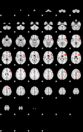 Patients 29511 41