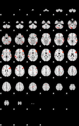 Patients 29595 40