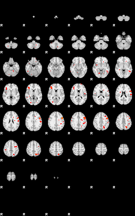 Patients 29740 123