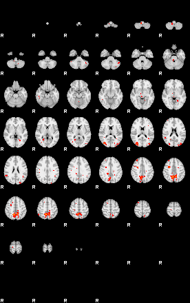 Patients 29209 77