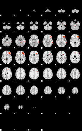 Patients 29173 67