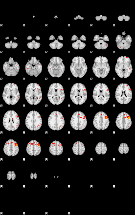 Patients 30017 38