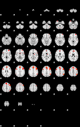 Patients 29070 47