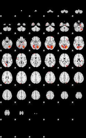 Patients 29213 106