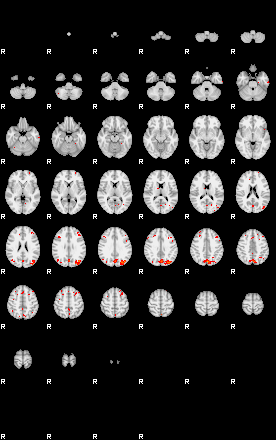 Patients 29506 10