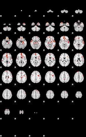 Patients 29108 137