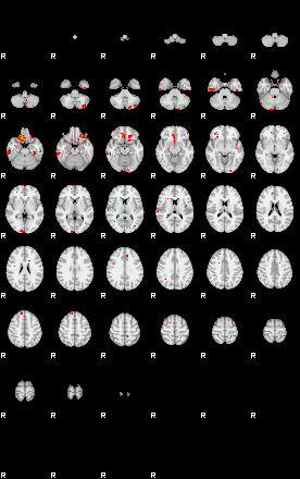 Patients 29211 172