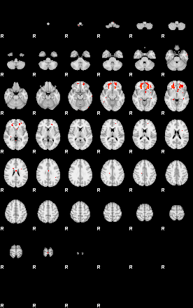 Patients 29430 113