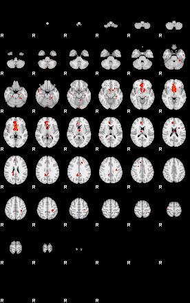 Patients 29210 146