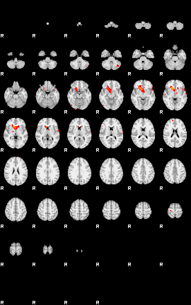 Patients 29102 28