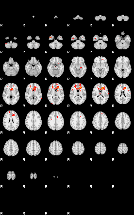 Patients 29103 145