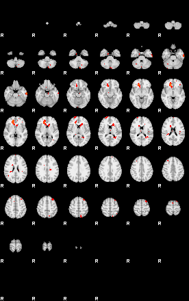 Patients 29160 146