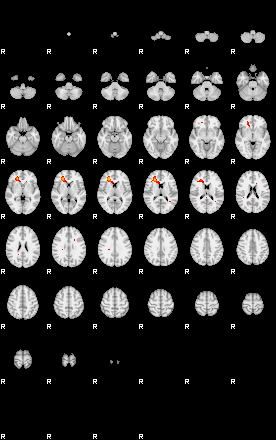 Patients 29161 116