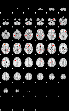 Patients 29205 131