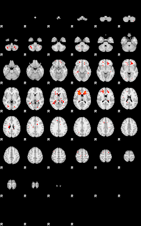 Patients 29545 137