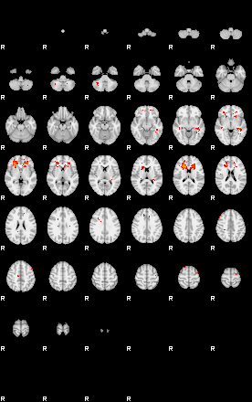 Patients 29545 40