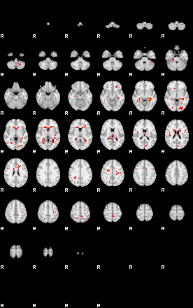 Patients 29549 26