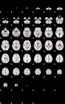 Patients 29568 193