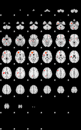 Patients 29659 196