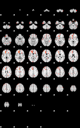 Patients 30003 6