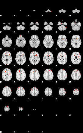 Patients 30013 40