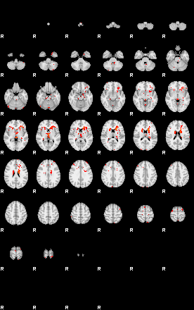 Patients 28941 44