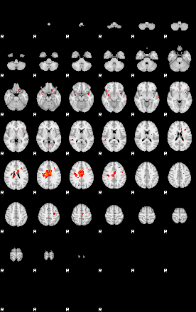 Patients 29273 197