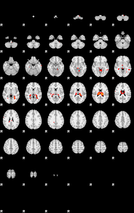 Patients 29741 49