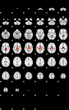 Patients 29151 49