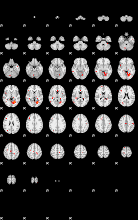 Patients 29167 102