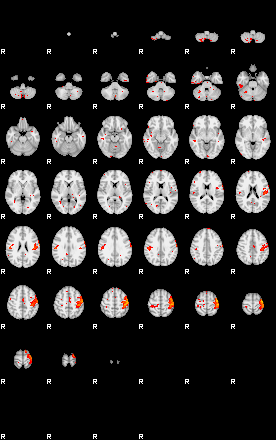 Patients 29031 43