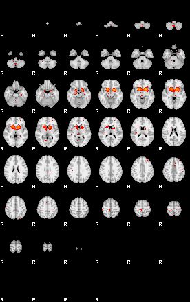 Patients 29212 107