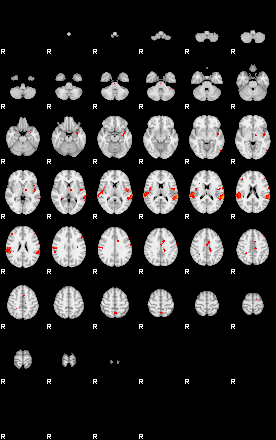 Patients 29160 19