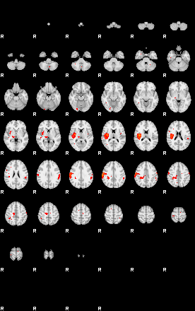 Patients 29166 77