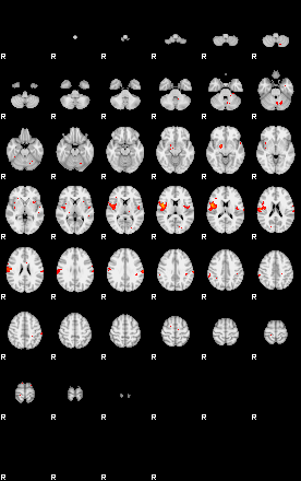 Patients 29181 177