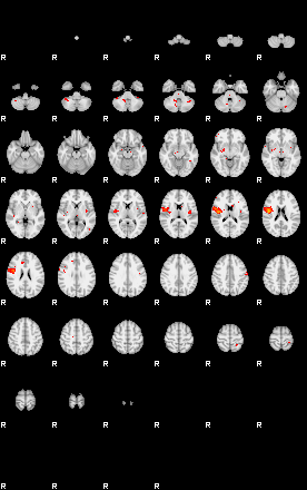 Patients 29183 145