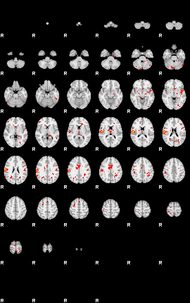 Patients 29274 197