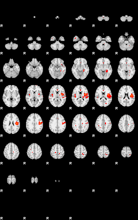 Patients 29659 79