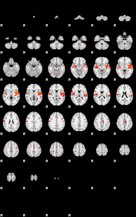 Patients 29177 95