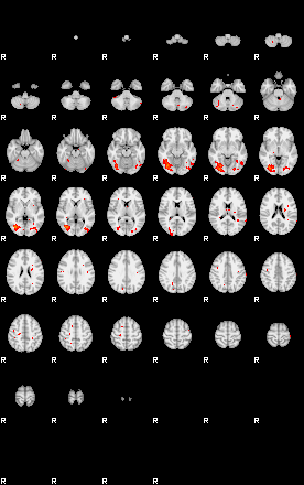 Patients 29209 72