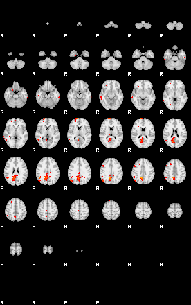 Patients 29509 10