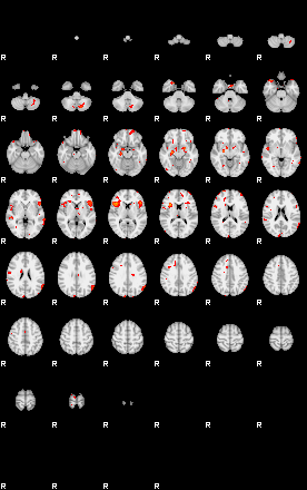 Patients 29109 136