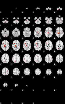 Patients 29162 151