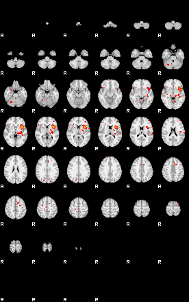 Patients 29167 70