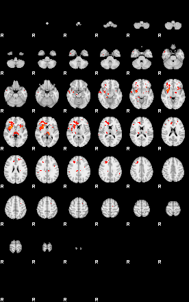 Patients 29449 53